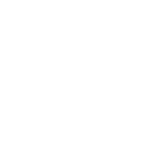 Nova Modern Store